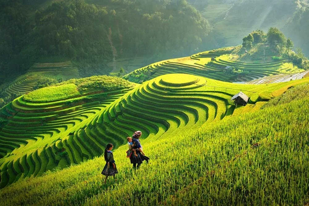 du lịch đông nam á sa pa