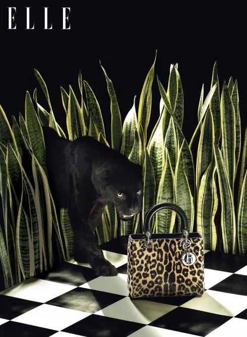 Phụ kiện thời trang túi Lady Dior