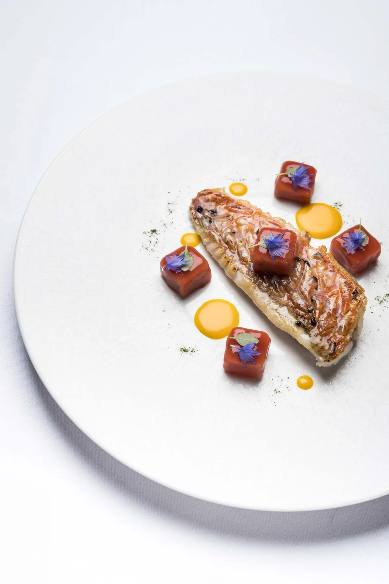 ẩm thực alan taudon