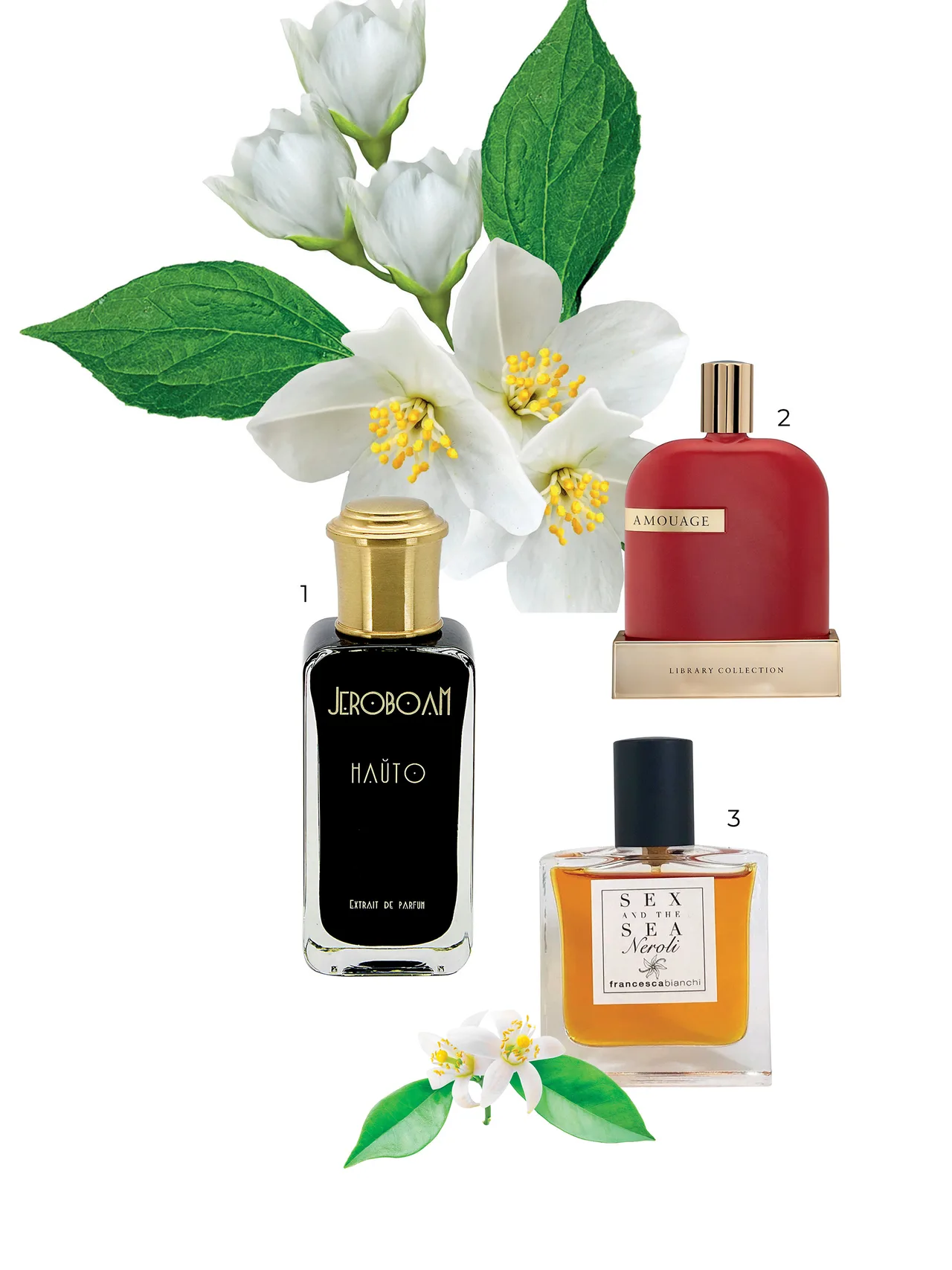 hương hoa nốt hương floral hương hoa nốt hương floral