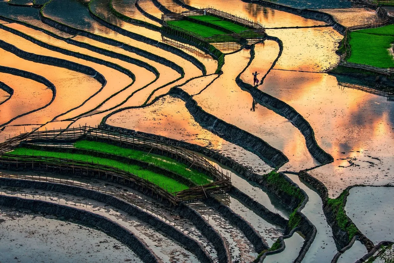 Hà Giang ruộng bậc thang mùa nước đổ Hà Giang ruộng bậc thang mùa nước đổ
