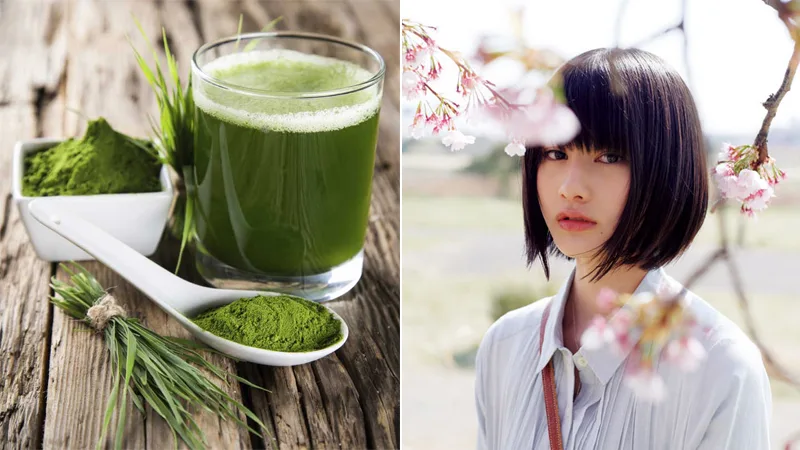 mặt nạ tảo biển chăm sóc da mặt nạ tảo biển chăm sóc da