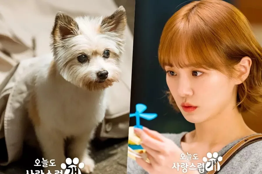 Soompi