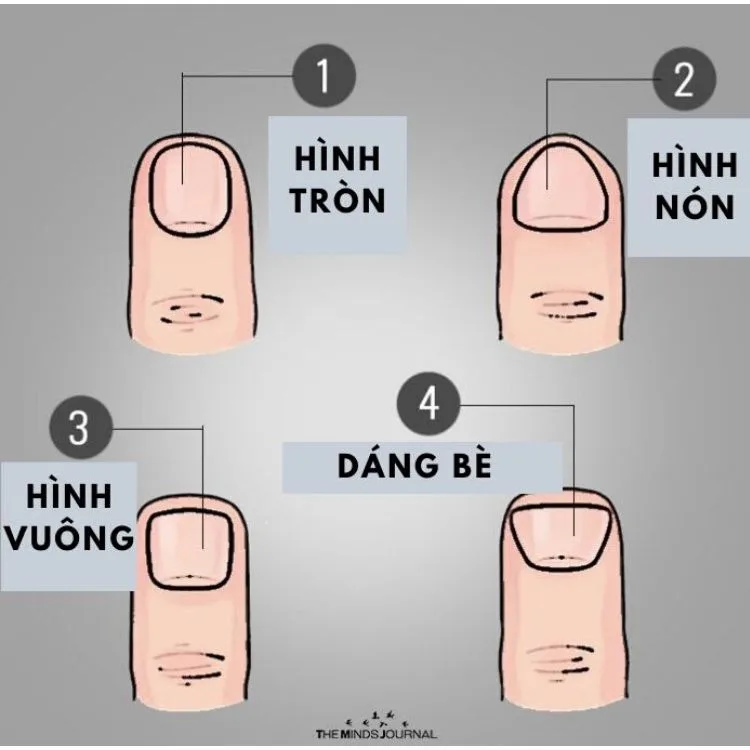 các dáng đầu ngón tay