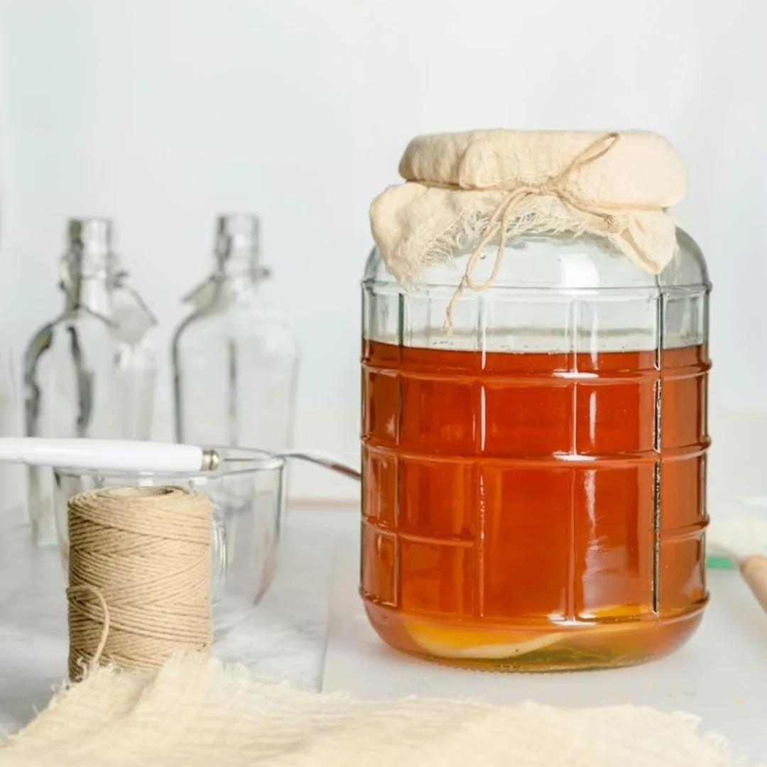 bình pha kombucha nguyên chất