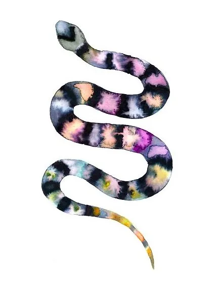 tỵ