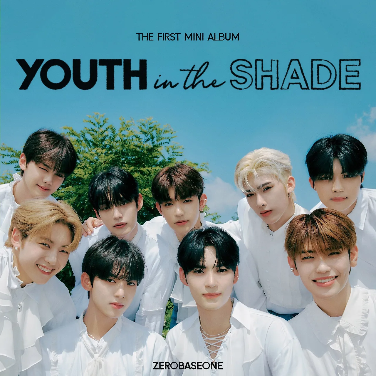 âm nhạc youth in the shade