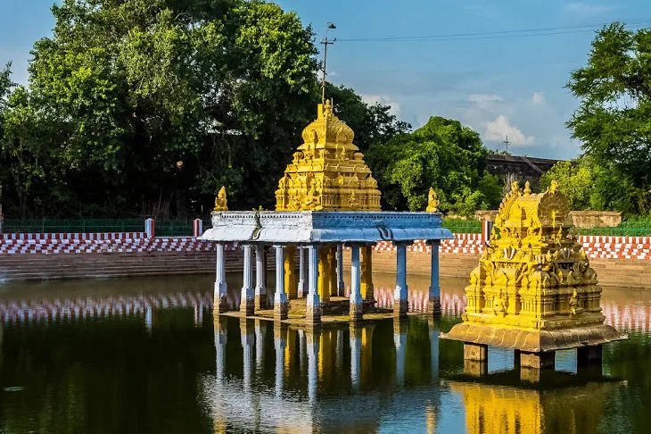 elle viet nam kanchipuram4