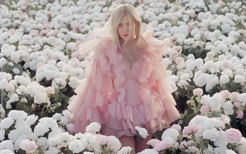 rose on the ground