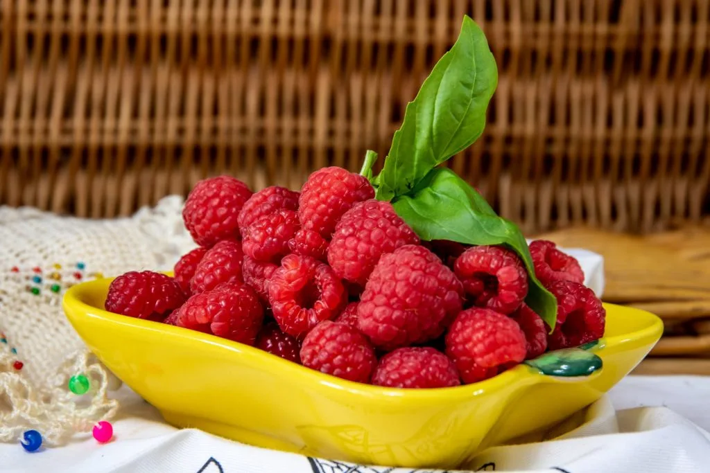 Quả mâm xôi chứa hàm lượng vitamin cao tốt cho sức khoẻ. Quả mâm xôi chứa hàm lượng vitamin cao tốt cho sức khoẻ.