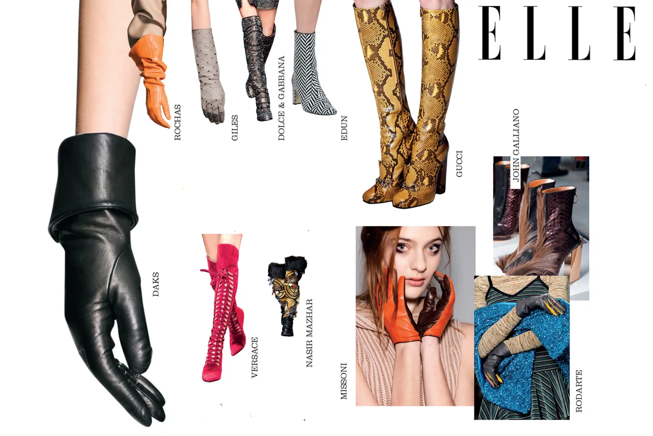 ellevn accessories trend