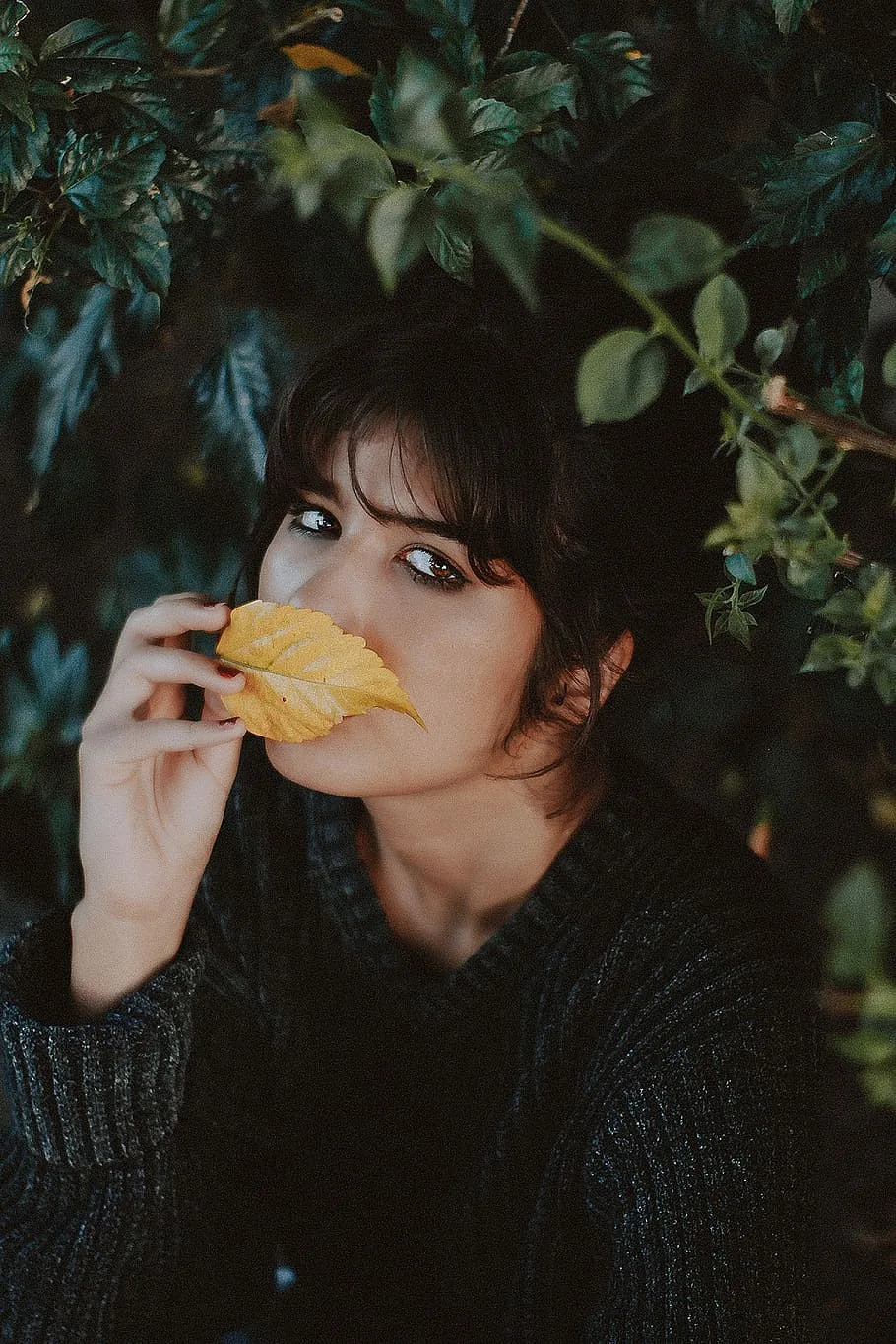 Trị thâm mụn-Cô gái lấy lá che mặt. Trị thâm mụn-Cô gái lấy lá che mặt.
