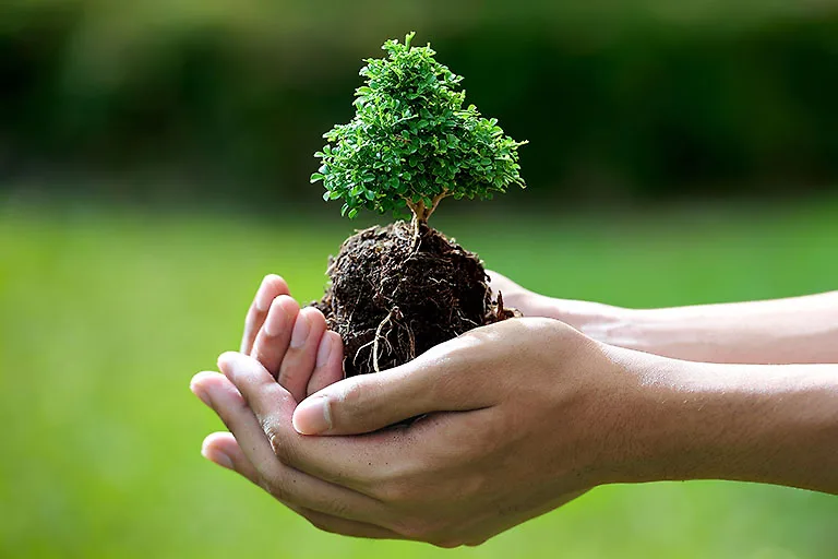 bảo vệ môi trường 04 bảo vệ môi trường 04