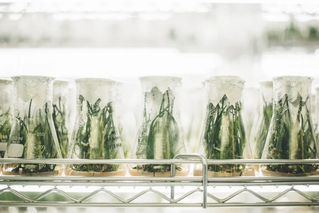 Biomimetic - Mô phỏng sinh học, xu hướng mới của ngành mỹ phẩm dưỡng da Biomimetic - Mô phỏng sinh học, xu hướng mới của ngành mỹ phẩm dưỡng da