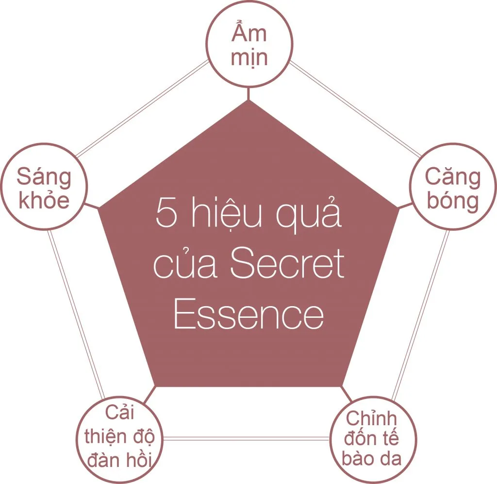 hiệu quả của Su:m hiệu quả của Su:m