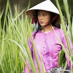 Hai Phượng - Vai 