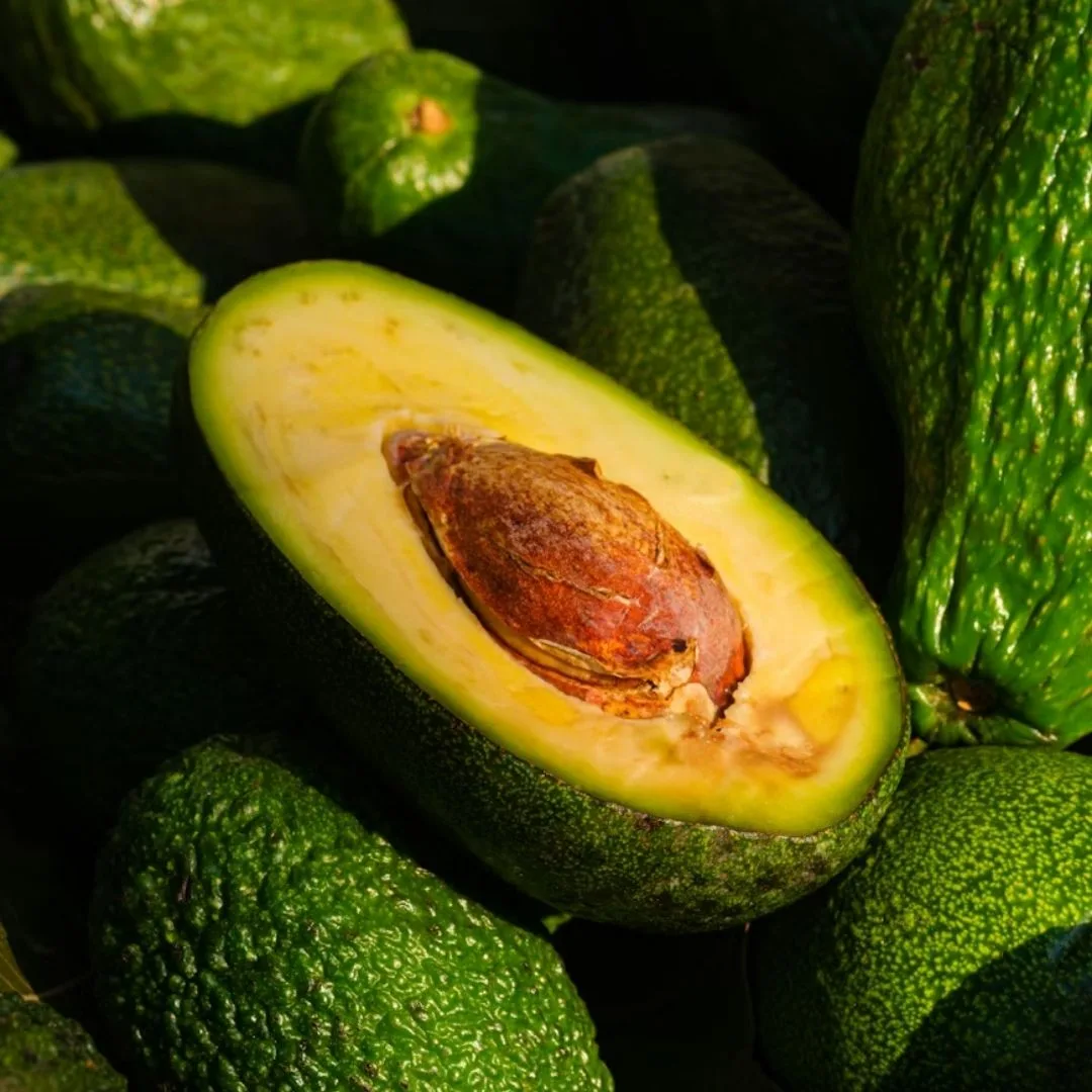 Quả bơ dùng làm sinh tố