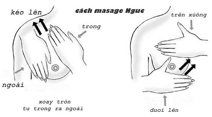vòng một đẹp 02 vòng một đẹp 02
