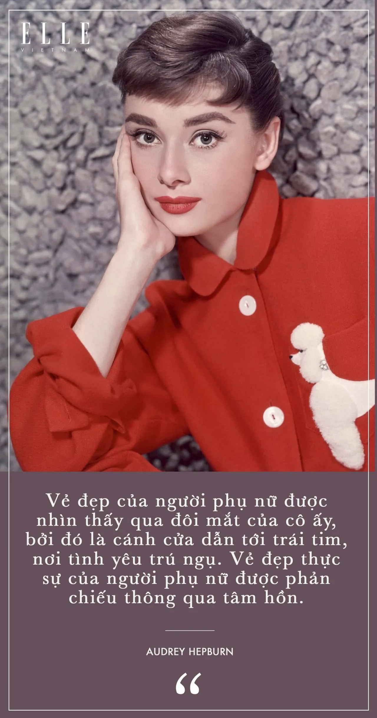 diễn viên Audrey Hepburn 11