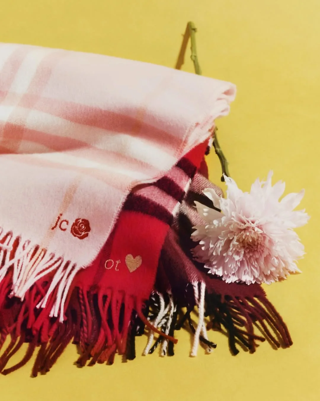 Chiến dịch Valentine Bubbery