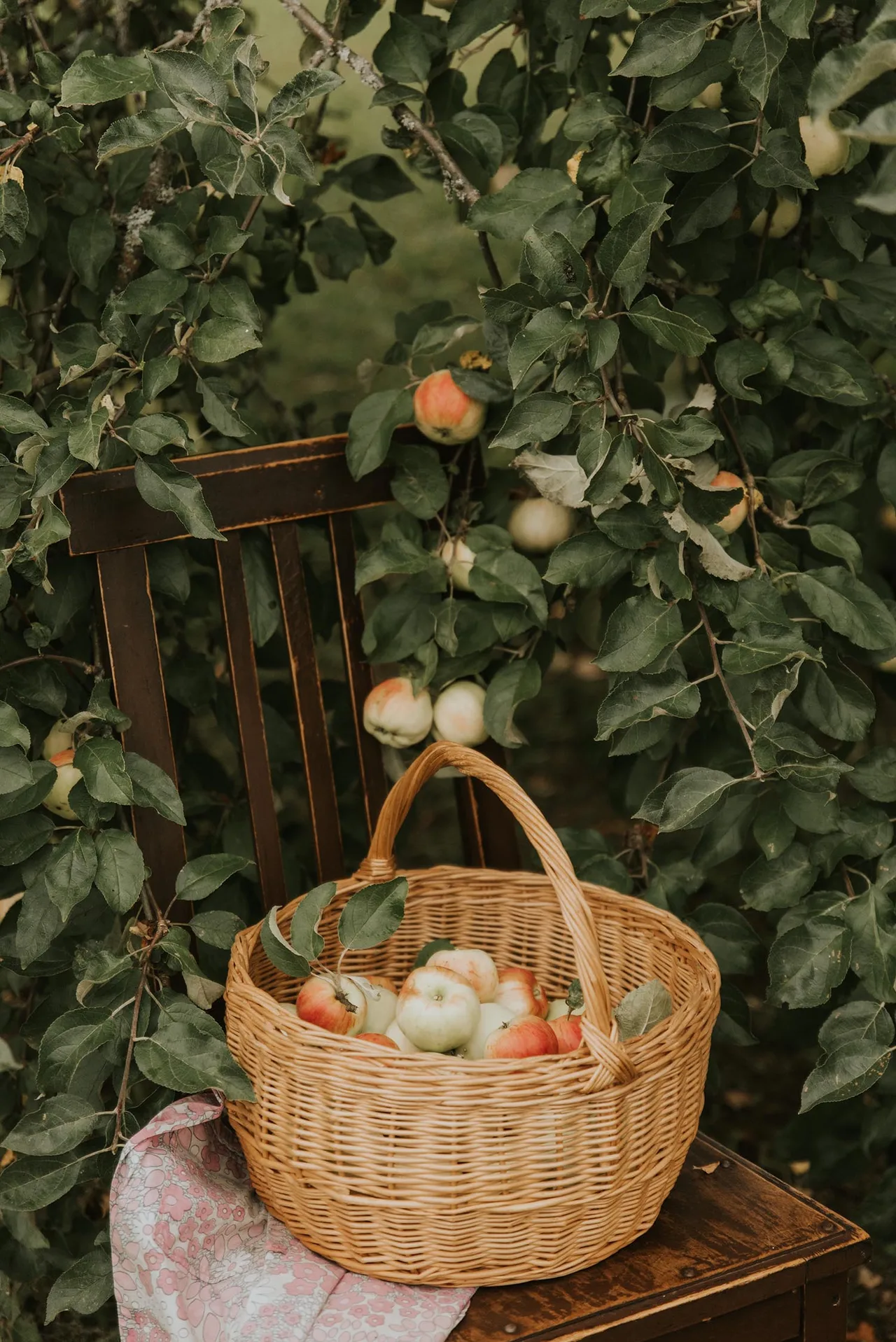 Hạnh phúc đến từ dinh dưỡng