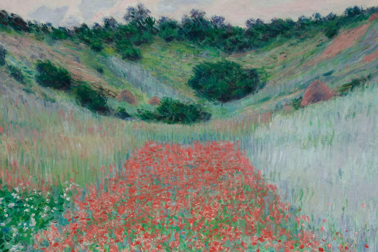 cánh đồng hoa anh túc - 17 bức tranh của danh họa Monet