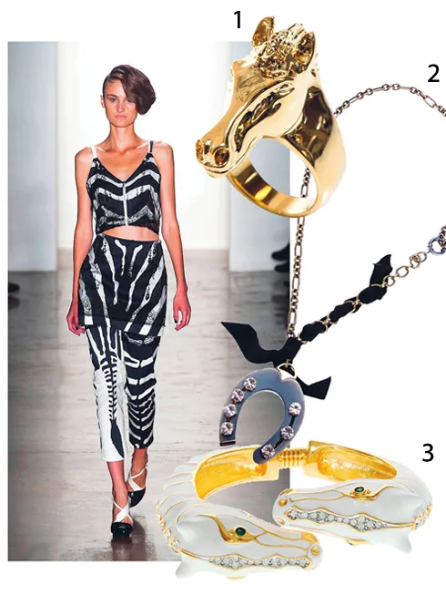 HorseJewelry_01_x490