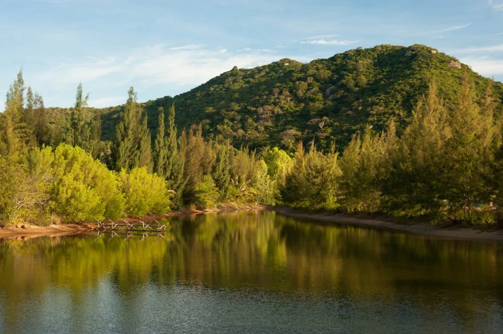 (7) L_Alyana_Ninh_Van_Bay_Stream