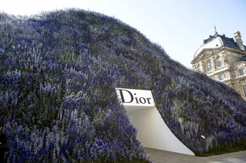 Một đồi hoa phi yến xanh đầy mộng mơ – ngự trị giữa khoảng sân của Carré du Louvre.
