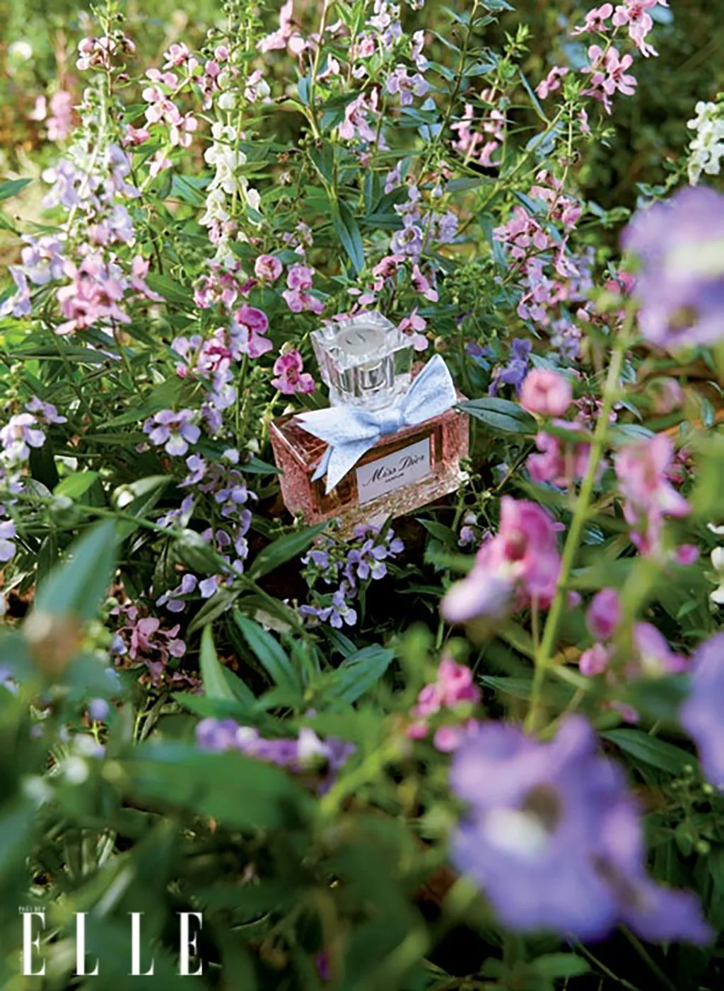 mùi hương nước hoa dior Nước hoa Miss Dior Eau de Parfum DIOR - mùi hương ngọt ngào