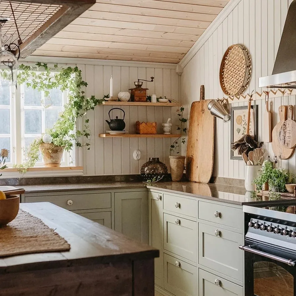 chọn cây xanh phù hợp với phong cách rustic