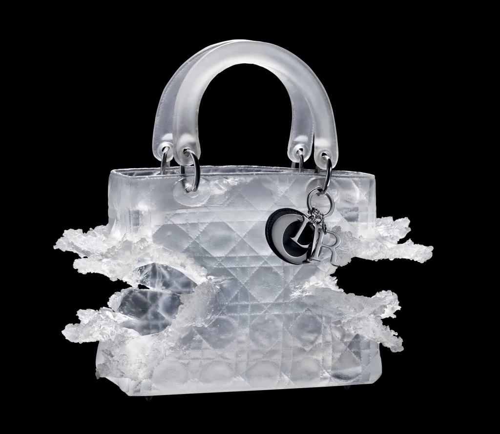 the gioi thoi trang dior tui xach limited edition