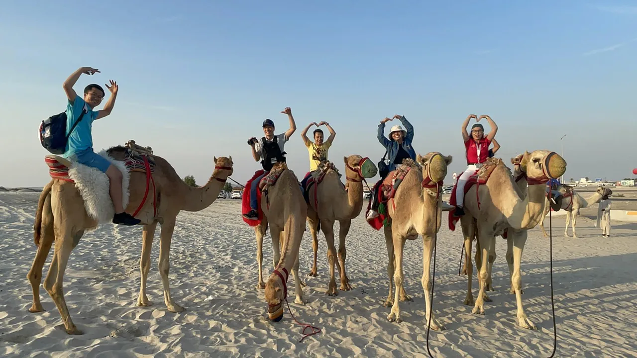 dubai cưỡi lạc đà dubai cưỡi lạc đà