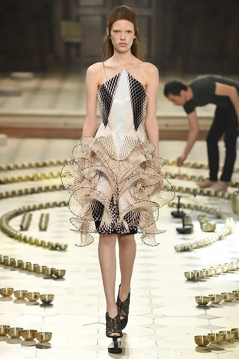 Một thiết kế khác từ Iris Van Herpen