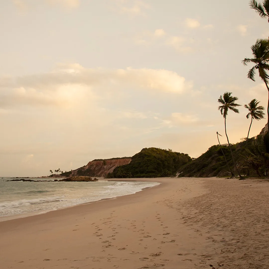 havaianas bờ biển brazil