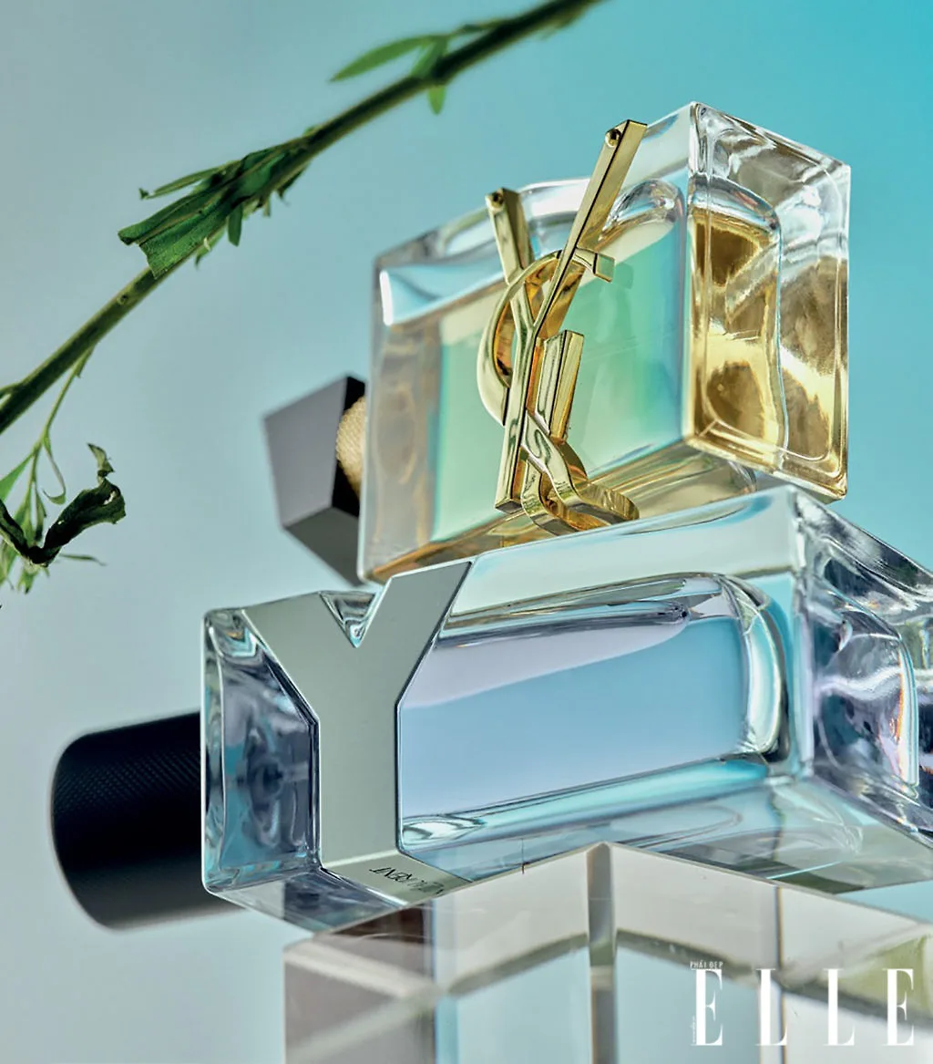 mùi hương đôi của thương hiệu YSL mùi hương đôi của thương hiệu YSL