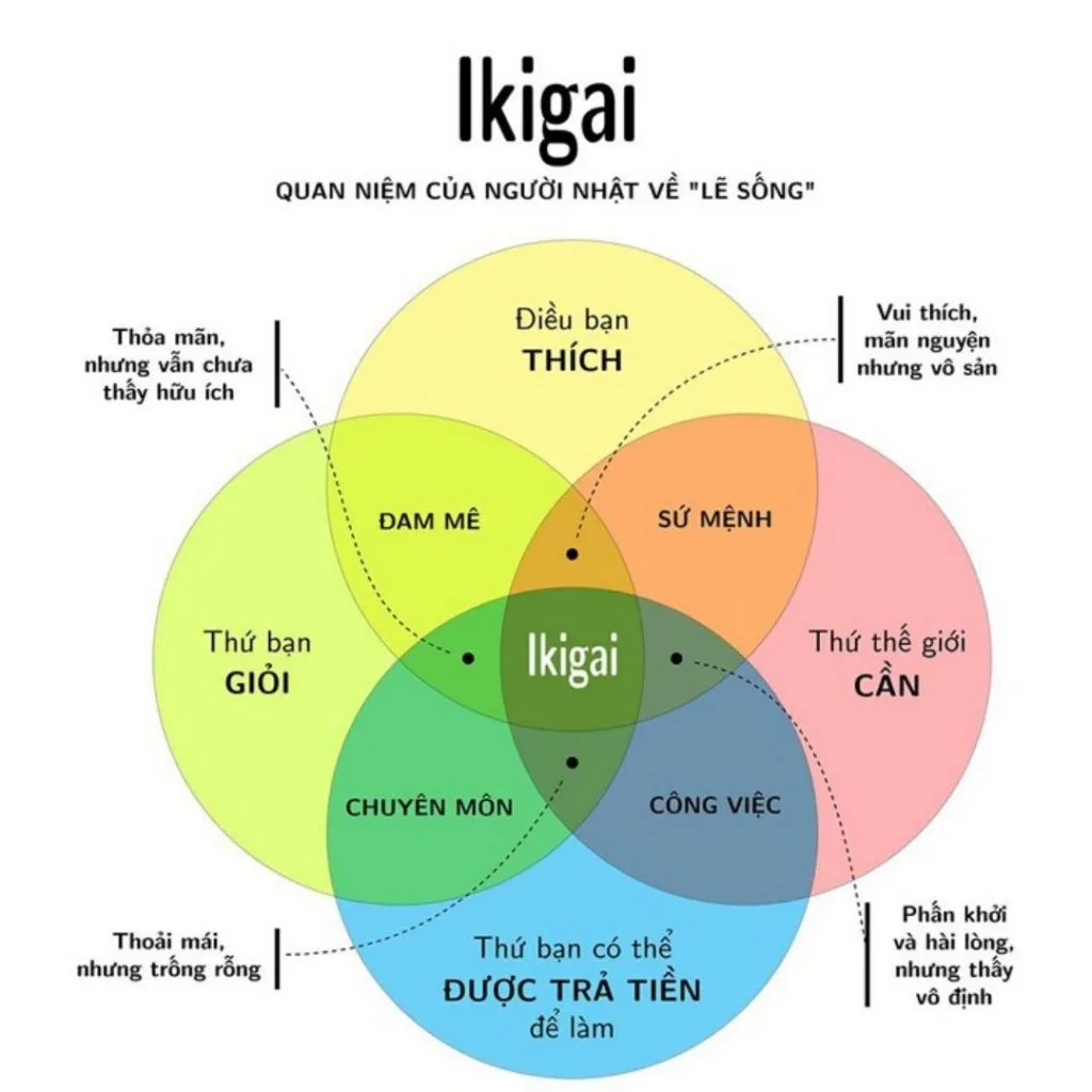 Menard Ikigai. Menard Ikigai.