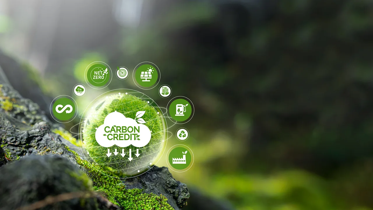 mỹ phẩm tín dụng carbon mỹ phẩm tín dụng carbon