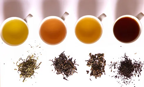 06-cup-of-tea-lgn-2156553