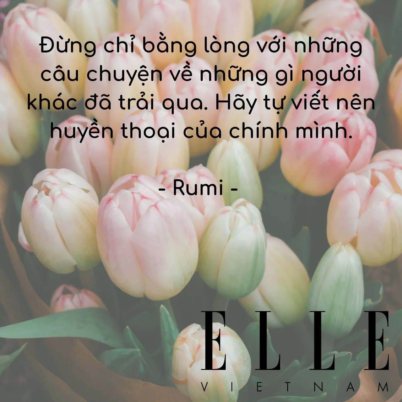 câu nói hay giúp bạn tin vào bản thân