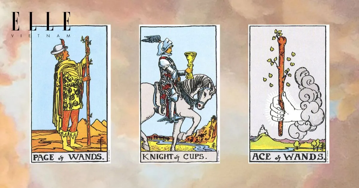 Bạn có các lá bài tarot: Page of Wands - Knight of Cups - Ace of Wands