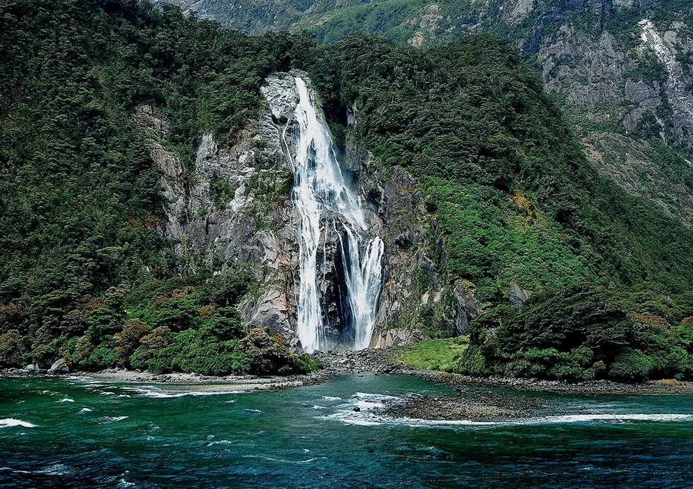 New Zealand 8 New Zealand 8