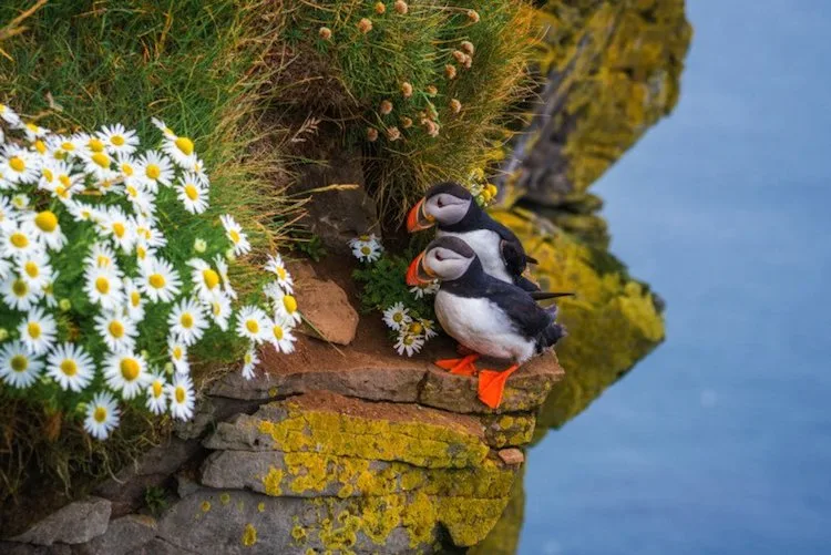 Iceland 4