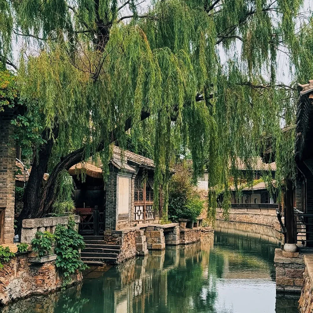 cổ bắc trung quốc