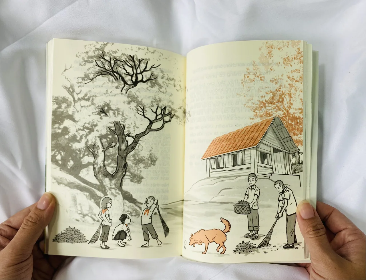 trong trang sách Thung lũng Đồng Vang