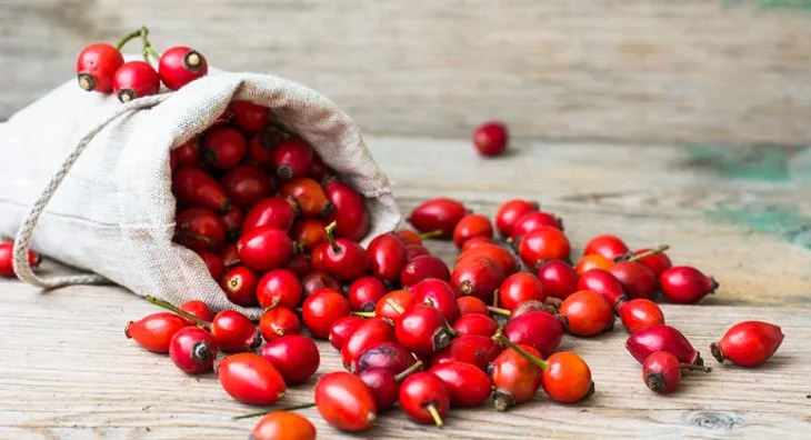 dầu nụ tầm xuân 02 dầu nụ tầm xuân 02