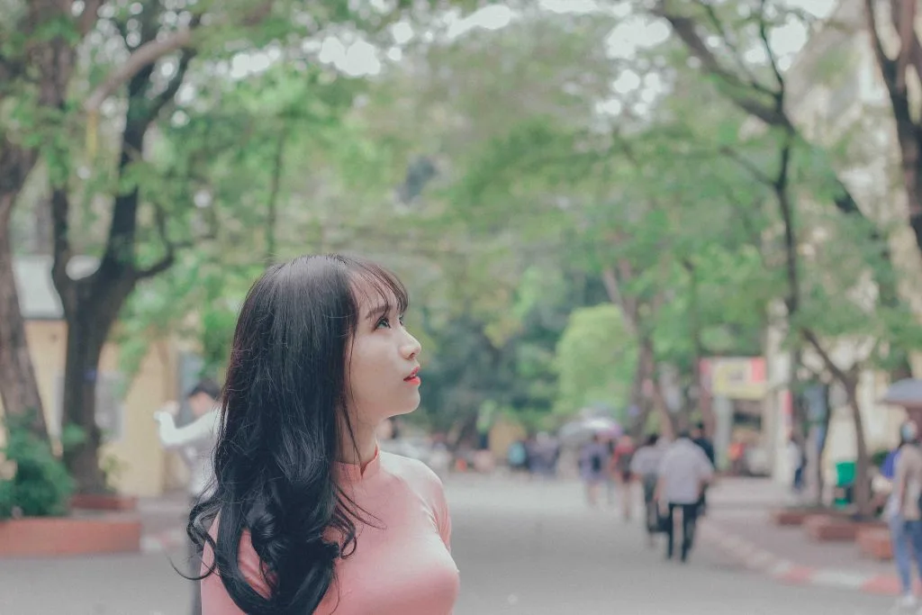 nhạc xuân 8
