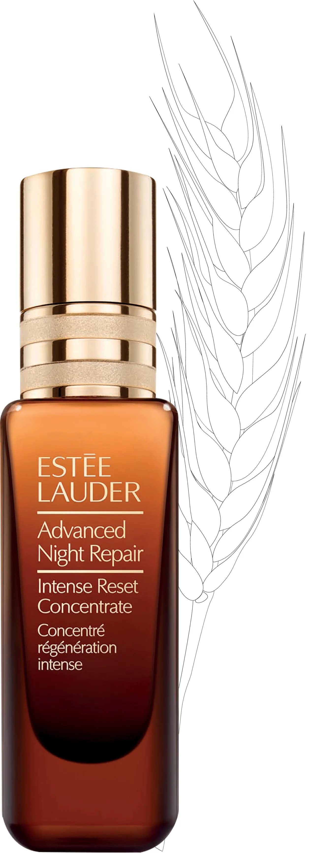 sản phẩm chống lão hóa Estee Lauder sản phẩm chống lão hóa Estee Lauder