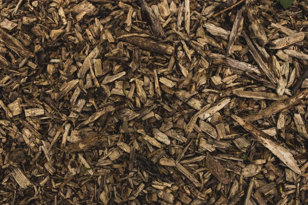 4 loại acid sinh ra để chăm sóc da mụn 4 loại acid sinh ra để chăm sóc da mụn
