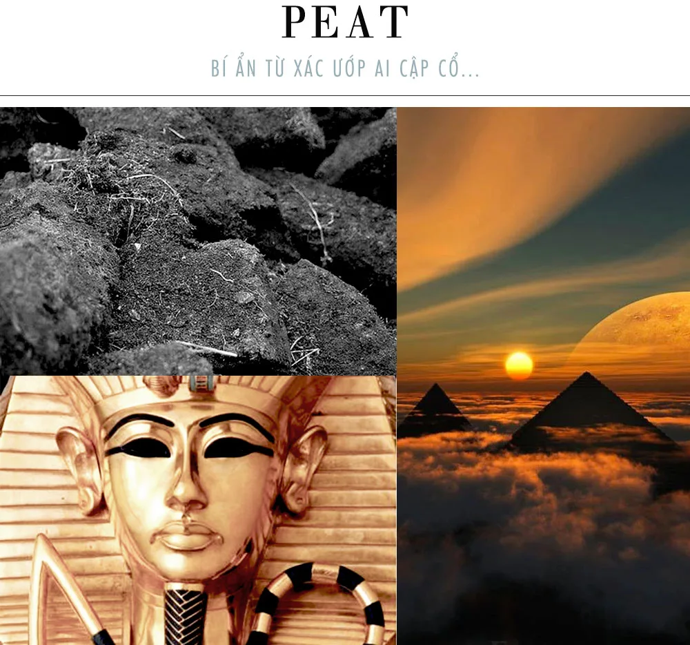 than hoạt tính - thành phần Peat từ Ai Cập